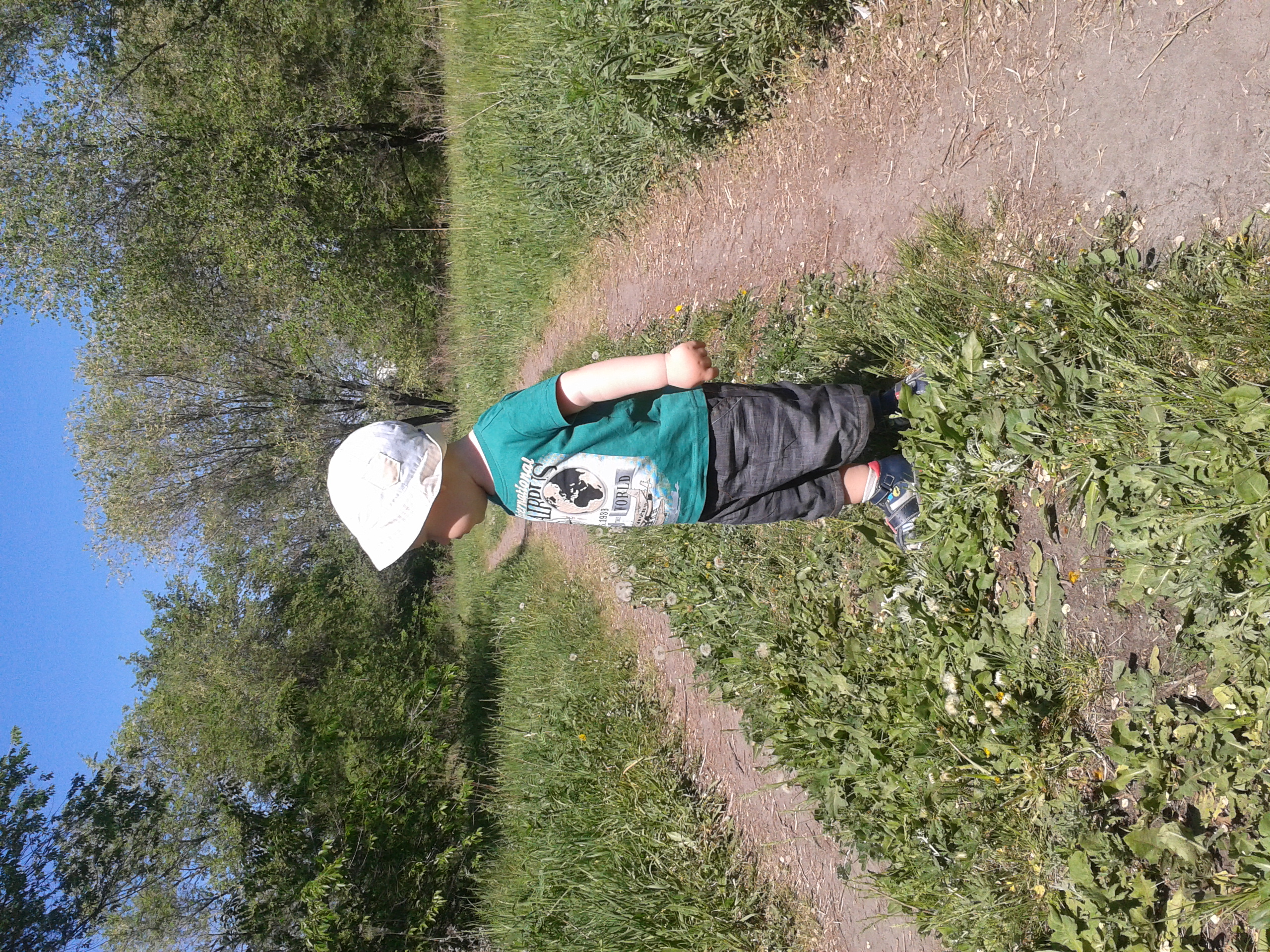 2014-05-24 11.46.46.jpg